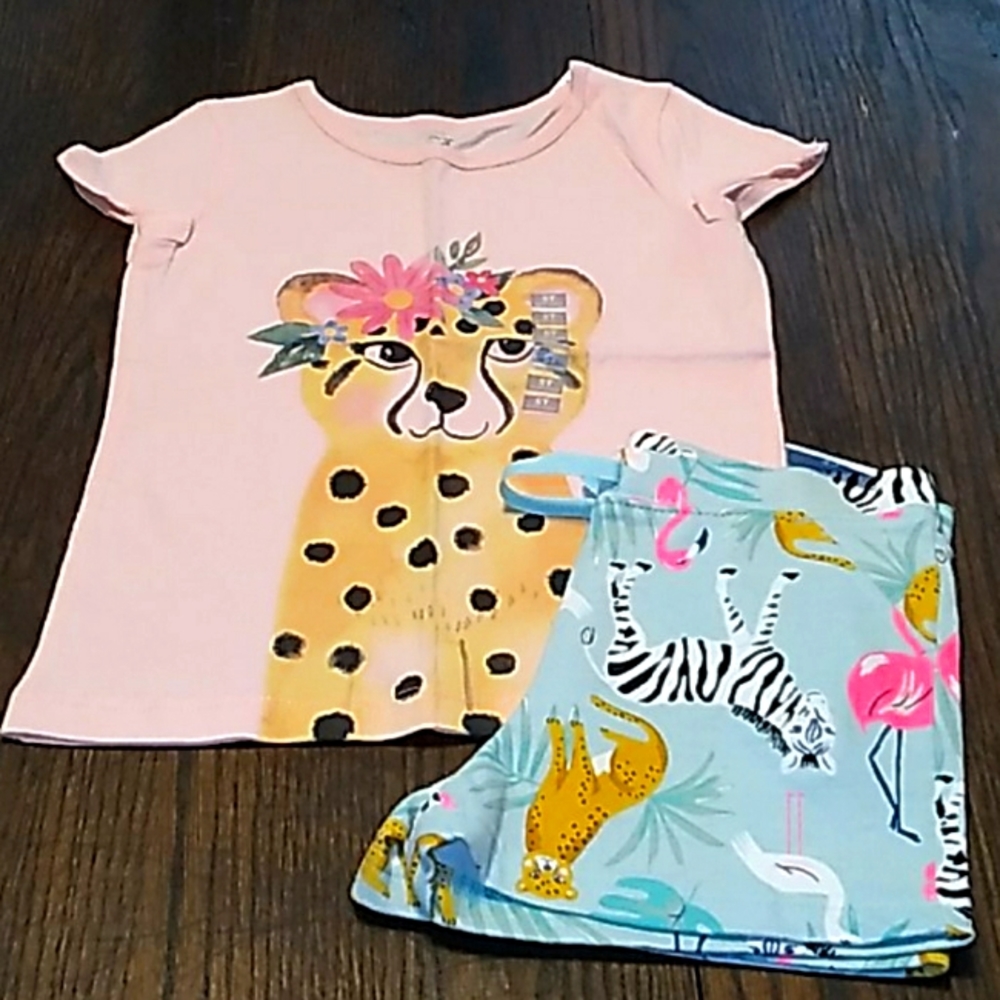 Girls Size 5T Lot